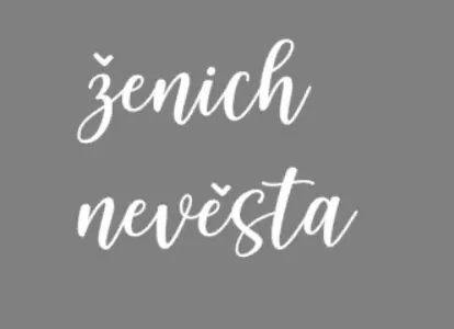 Samolepky na brýle nevěsta a ženich