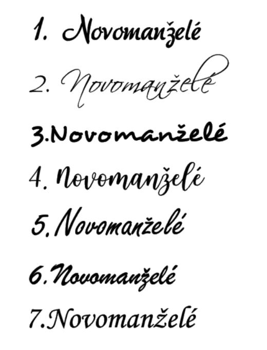 Cedulka z plexiskla Novomanželé malá 10x25cm